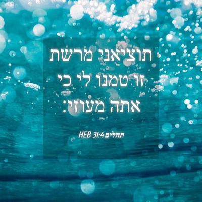 Picture 04 - תהלים 31:4 HEB - תוציאני מרשת זו טמנו לי כי - Bible Verse Picture