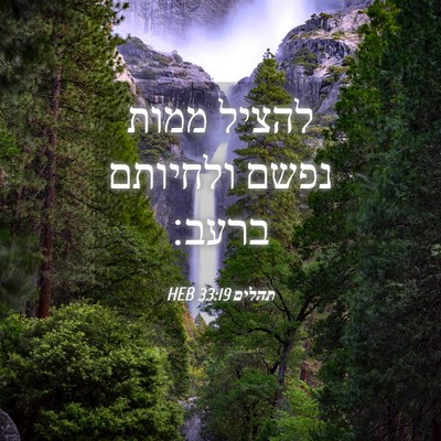 Picture 04 - תהלים 33:19 HEB - להציל ממות נפשם ולחיותם - Bible Verse Picture