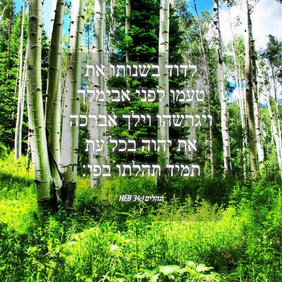 Picture 04 - תהלים 34:1 HEB - לדוד בשנותו את טעמו לפני - Bible Verse Picture