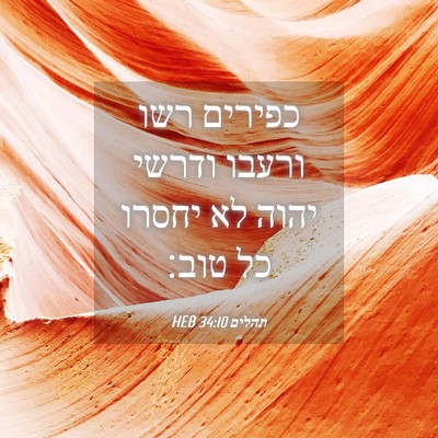 Picture 04 - תהלים 34:10 HEB - כפירים רשו ורעבו ודרשי - Bible Verse Picture