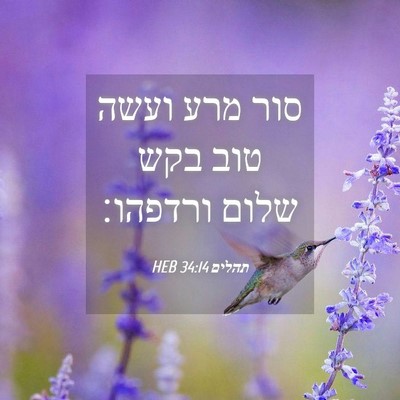 Picture 04 - תהלים 34:14 HEB - סור מרע ועשה טוב בקש שלום - Bible Verse Picture
