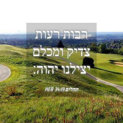 Picture 04 - תהלים 34:19 HEB - רבות רעות צדיק ומכלם - Bible Verse Picture