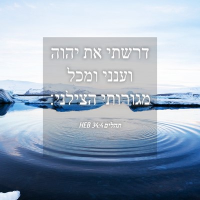 Picture 04 - תהלים 34:4 HEB - דרשתי את יהוה וענני ומכל - Bible Verse Picture