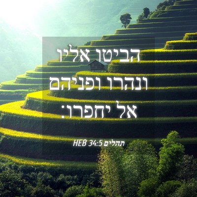 Picture 04 - תהלים 34:5 HEB - הביטו אליו ונהרו ופניהם אל - Bible Verse Picture