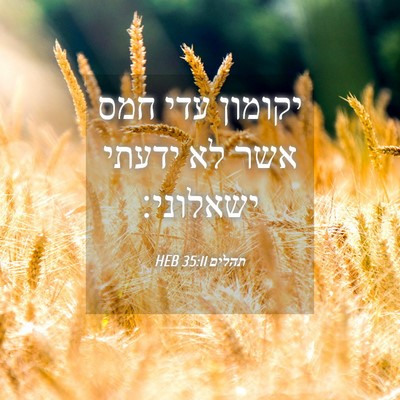 Picture 04 - תהלים 35:11 HEB - יקומון עדי חמס אשר לא ידעתי - Bible Verse Picture