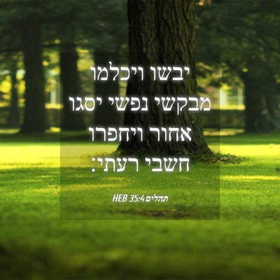 Picture 04 - תהלים 35:4 HEB - יבשו ויכלמו מבקשי נפשי - Bible Verse Picture