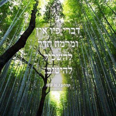 Picture 04 - תהלים 36:3 HEB - דברי פיו און ומרמה חדל - Bible Verse Picture