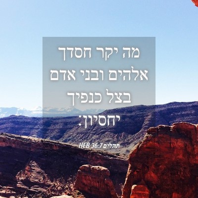 Picture 04 - תהלים 36:7 HEB - מה יקר חסדך אלהים ובני אדם - Bible Verse Picture