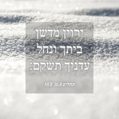 Picture 04 - תהלים 36:8 HEB - ירוין מדשן ביתך ונחל עדניך - Bible Verse Picture
