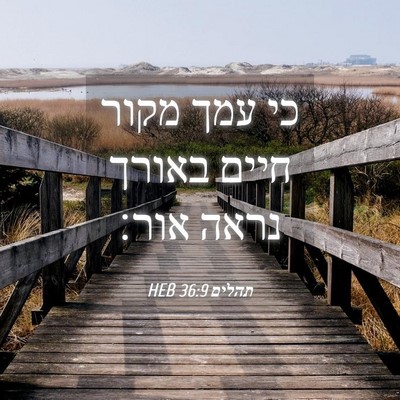 Picture 04 - תהלים 36:9 HEB - כי עמך מקור חיים באורך נראה - Bible Verse Picture