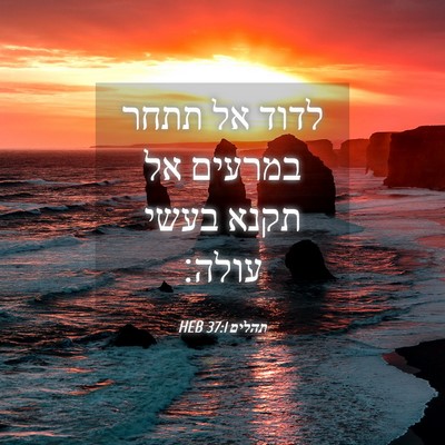 Picture 04 - תהלים 37:1 HEB - לדוד אל תתחר במרעים אל תקנא - Bible Verse Picture