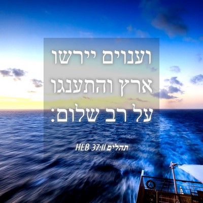 Picture 04 - תהלים 37:11 HEB - וענוים יירשו ארץ והתענגו - Bible Verse Picture