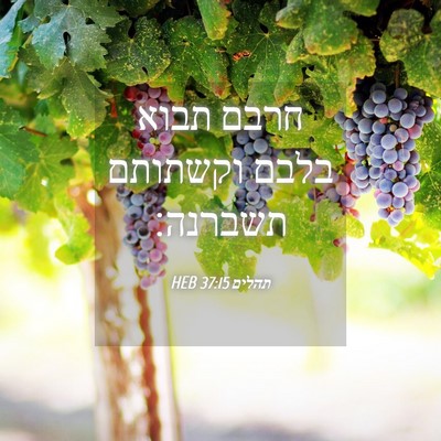 Picture 04 - תהלים 37:15 HEB - חרבם תבוא בלבם וקשתותם - Bible Verse Picture