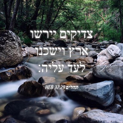 Picture 04 - תהלים 37:29 HEB - צדיקים יירשו ארץ וישכנו - Bible Verse Picture