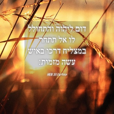 Picture 04 - תהלים 37:7 HEB - דום ליהוה והתחולל לו אל - Bible Verse Picture