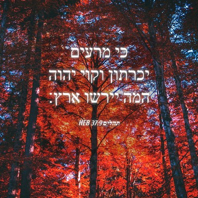 Picture 04 - תהלים 37:9 HEB - כי מרעים יכרתון וקוי יהוה - Bible Verse Picture