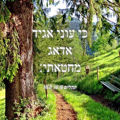 Picture 04 - תהלים 38:18 HEB - כי עוני אגיד אדאג - Bible Verse Picture