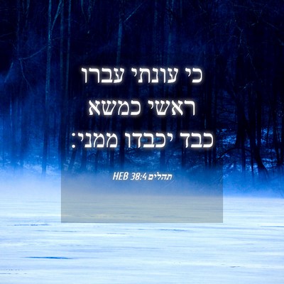 Picture 04 - תהלים 38:4 HEB - כי עונתי עברו ראשי כמשא כבד - Bible Verse Picture