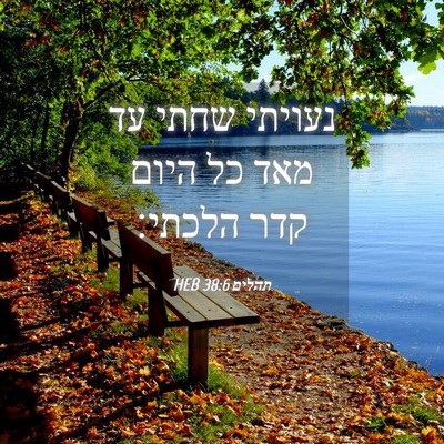 Picture 04 - תהלים 38:6 HEB - נעויתי שחתי עד מאד כל היום - Bible Verse Picture