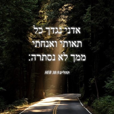 Picture 04 - תהלים 38:9 HEB - אדני נגדך כל תאותי ואנחתי - Bible Verse Picture