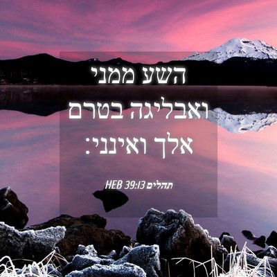 Picture 04 - תהלים 39:13 HEB - השע ממני ואבליגה בטרם אלך - Bible Verse Picture