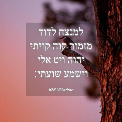 Picture 04 - תהלים 40:1 HEB - למנצח לדוד מזמור קוה קויתי - Bible Verse Picture