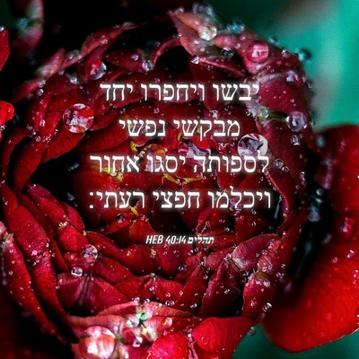 Picture 04 - תהלים 40:14 HEB - יבשו ויחפרו יחד מבקשי נפשי - Bible Verse Picture