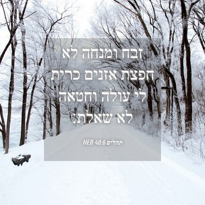 Picture 04 - תהלים 40:6 HEB - זבח ומנחה לא חפצת אזנים - Bible Verse Picture