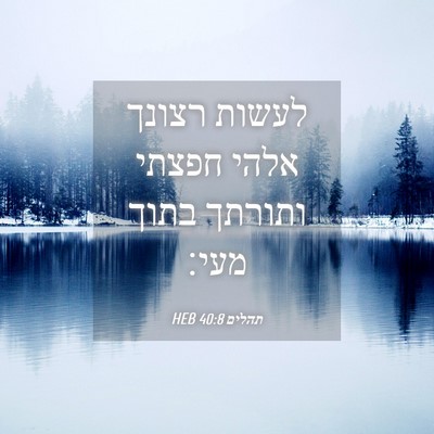 Picture 04 - תהלים 40:8 HEB - לעשות רצונך אלהי חפצתי - Bible Verse Picture