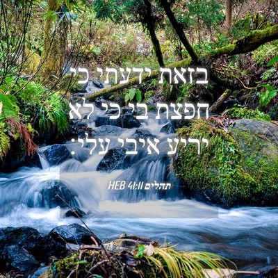 Picture 04 - תהלים 41:11 HEB - בזאת ידעתי כי חפצת בי כי לא - Bible Verse Picture