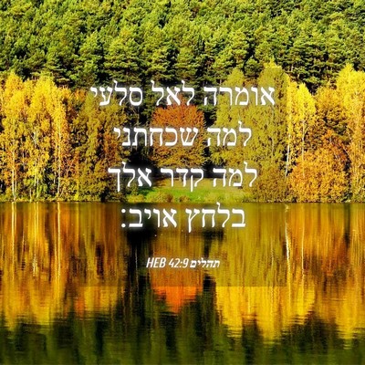 Picture 04 - תהלים 42:9 HEB - אומרה לאל סלעי למה שכחתני - Bible Verse Picture