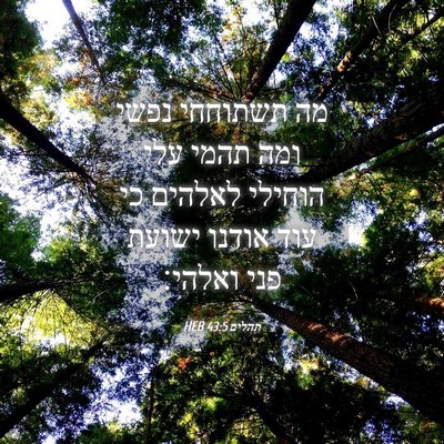 Picture 04 - תהלים 43:5 HEB - מה תשתוחחי נפשי ומה תהמי - Bible Verse Picture