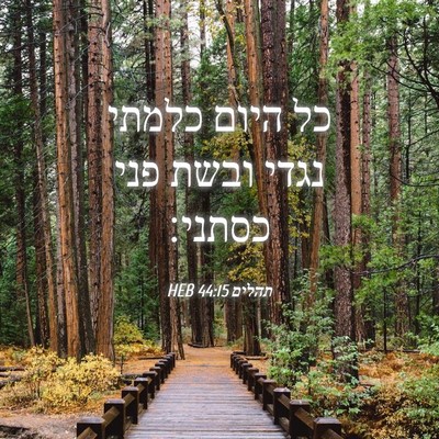 Picture 04 - תהלים 44:15 HEB - כל היום כלמתי נגדי ובשת פני - Bible Verse Picture