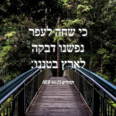 Picture 04 - תהלים 44:25 HEB - כי שחה לעפר נפשנו דבקה לארץ - Bible Verse Picture