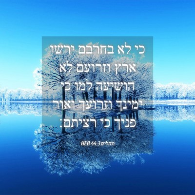 Picture 04 - תהלים 44:3 HEB - כי לא בחרבם ירשו ארץ וזרועם - Bible Verse Picture