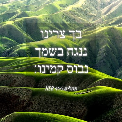 Picture 04 - תהלים 44:5 HEB - בך צרינו ננגח בשמך נבוס - Bible Verse Picture