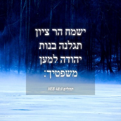 Picture 04 - תהלים 48:11 HEB - ישמח הר ציון תגלנה בנות - Bible Verse Picture