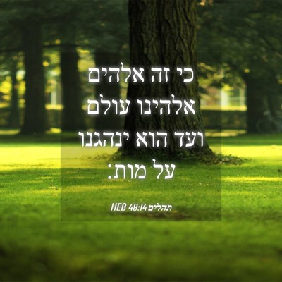 Picture 04 - תהלים 48:14 HEB - כי זה אלהים אלהינו עולם ועד - Bible Verse Picture