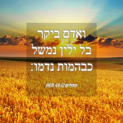 Picture 04 - תהלים 49:12 HEB - ואדם ביקר בל ילין נמשל - Bible Verse Picture