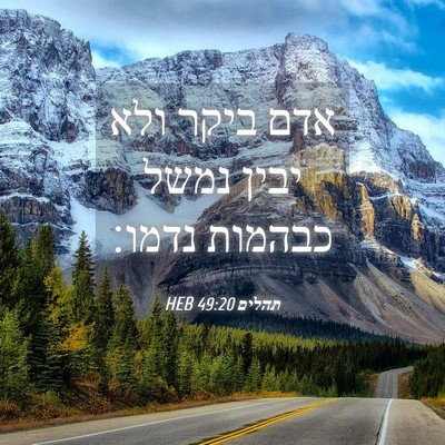 Picture 04 - תהלים 49:20 HEB - אדם ביקר ולא יבין נמשל - Bible Verse Picture