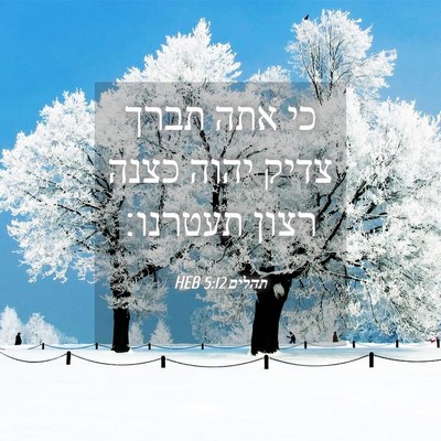 Picture 04 - תהלים 5:12 HEB - כי אתה תברך צדיק יהוה כצנה - Bible Verse Picture