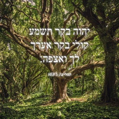 Picture 04 - תהלים 5:3 HEB - יהוה בקר תשמע קולי בקר אערך - Bible Verse Picture