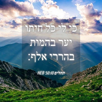 Picture 04 - תהלים 50:10 HEB - כי לי כל חיתו יער בהמות - Bible Verse Picture