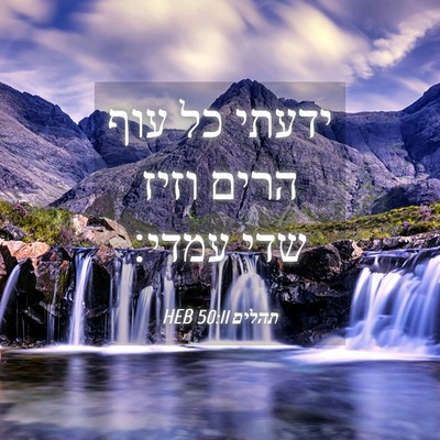 Picture 04 - תהלים 50:11 HEB - ידעתי כל עוף הרים וזיז שדי - Bible Verse Picture
