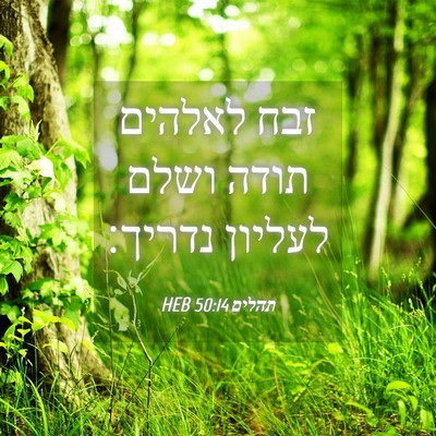 Picture 04 - תהלים 50:14 HEB - זבח לאלהים תודה ושלם - Bible Verse Picture