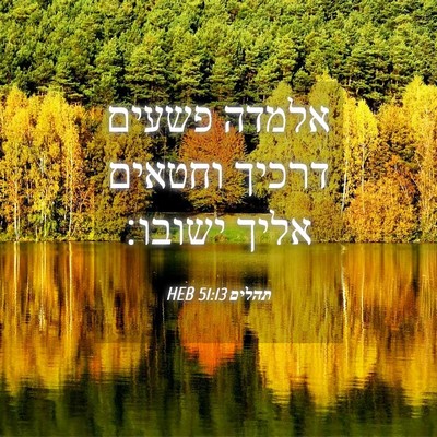 Picture 04 - תהלים 51:13 HEB - אלמדה פשעים דרכיך וחטאים - Bible Verse Picture