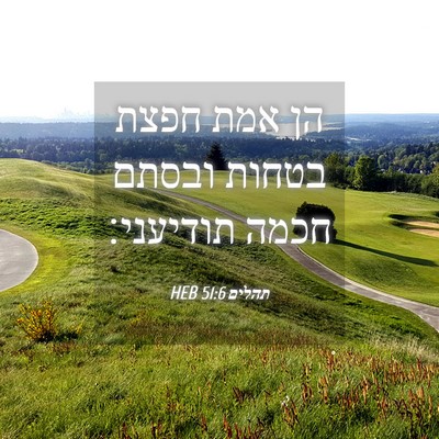 Picture 04 - תהלים 51:6 HEB - הן אמת חפצת בטחות ובסתם - Bible Verse Picture