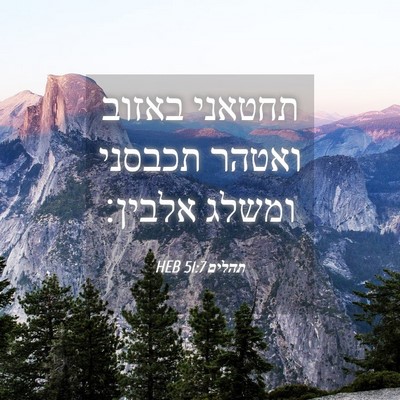 Picture 04 - תהלים 51:7 HEB - תחטאני באזוב ואטהר תכבסני - Bible Verse Picture