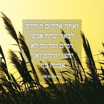 Picture 04 - תהלים 55:23 HEB - ואתה אלהים תורדם לבאר שחת - Bible Verse Picture