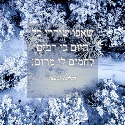 Picture 04 - תהלים 56:2 HEB - שאפו שוררי כל היום כי רבים - Bible Verse Picture